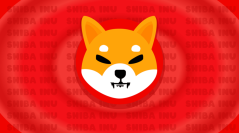 Was ist Shiba Inu? Ein Blick auf den zweitgrößten Meme-Token